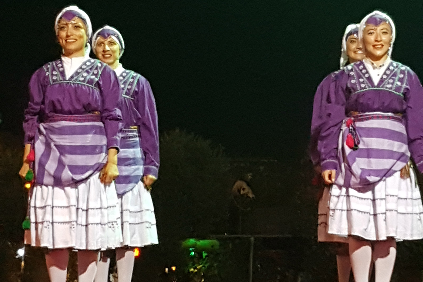 Yurt İçi Festivalleri